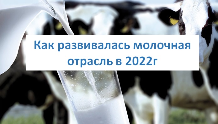 Как развивалась молочная отрасль России в 2022г